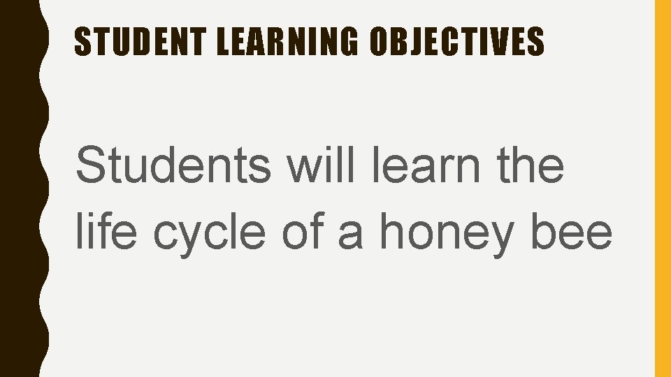 STUDENT LEARNING OBJECTIVES Students will learn the life cycle of a honey bee 