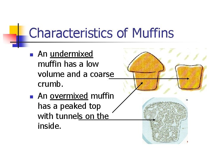 Characteristics of Muffins n n An undermixed muffin has a low volume and a