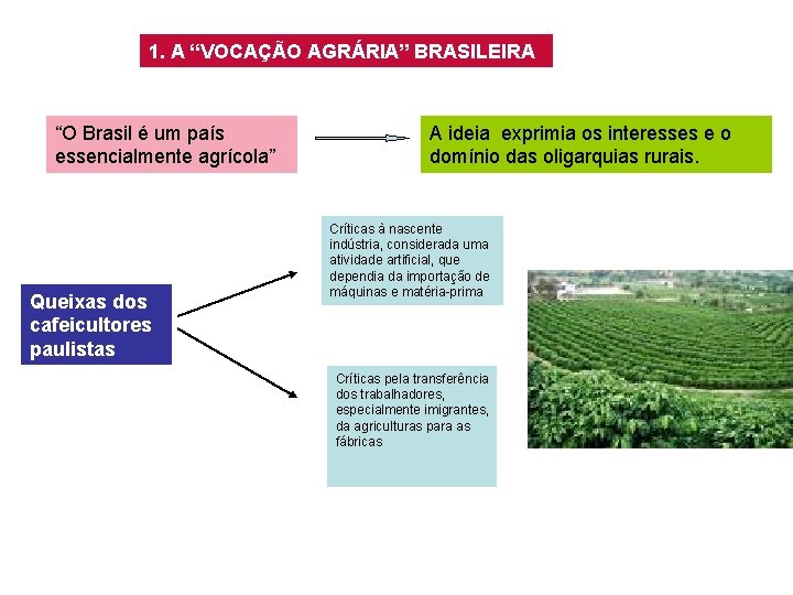 1. A “VOCAÇÃO AGRÁRIA” BRASILEIRA “O Brasil é um país essencialmente agrícola” Queixas dos