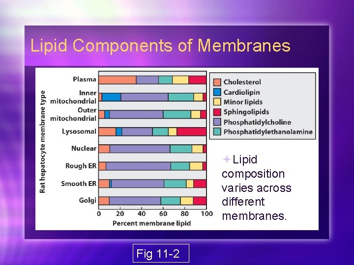 Lipid Components of Membranes Lipid composition varies across different membranes. Fig 11 -2 