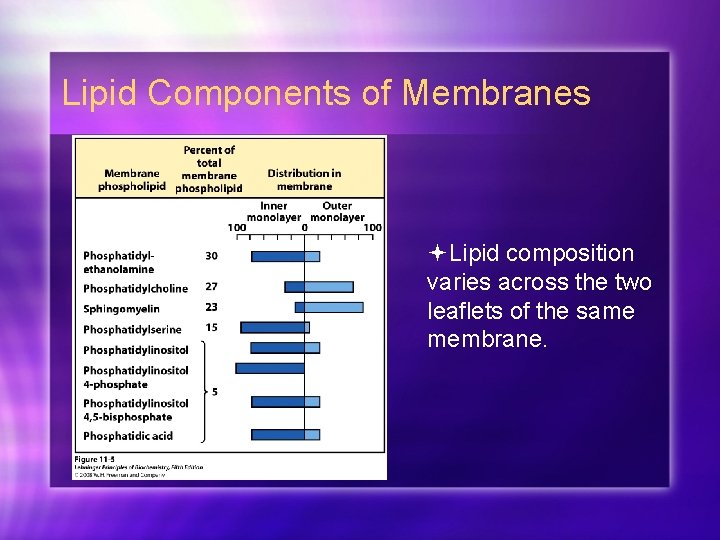 Lipid Components of Membranes Lipid composition varies across the two leaflets of the same