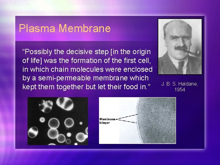 Plasma Membrane “Possibly the decisive step [in the origin of life] was the formation