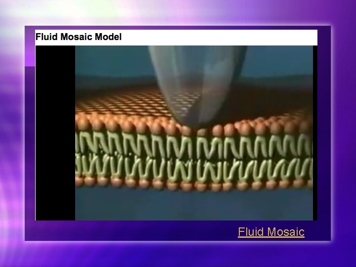 Fluid Mosaic 