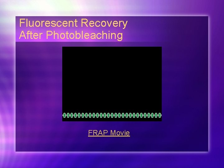 Fluorescent Recovery After Photobleaching FRAP Movie 