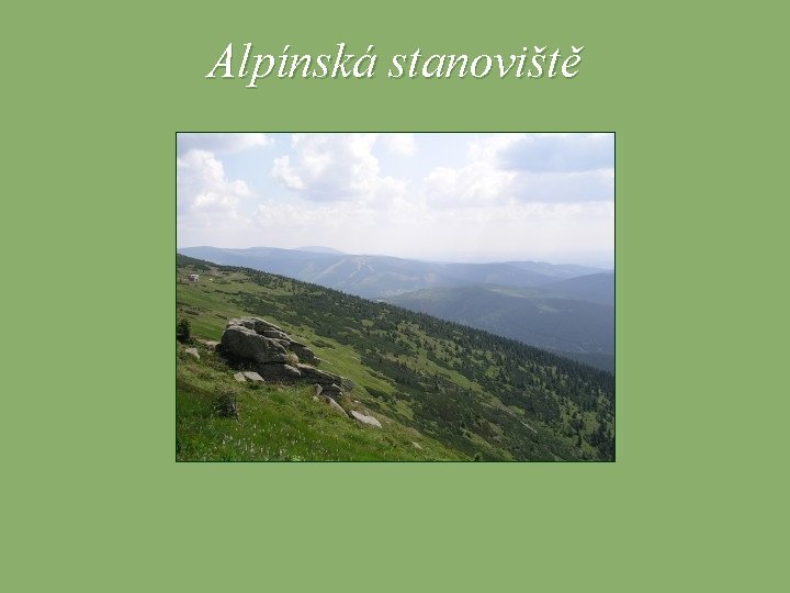 Alpínská stanoviště 