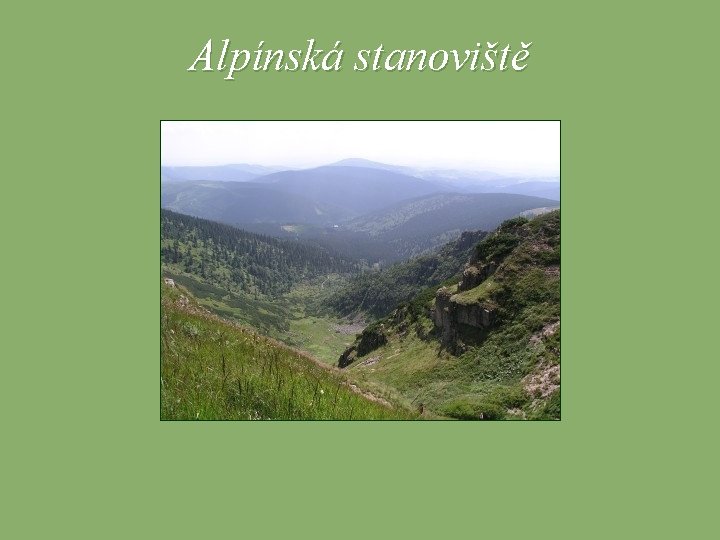 Alpínská stanoviště 