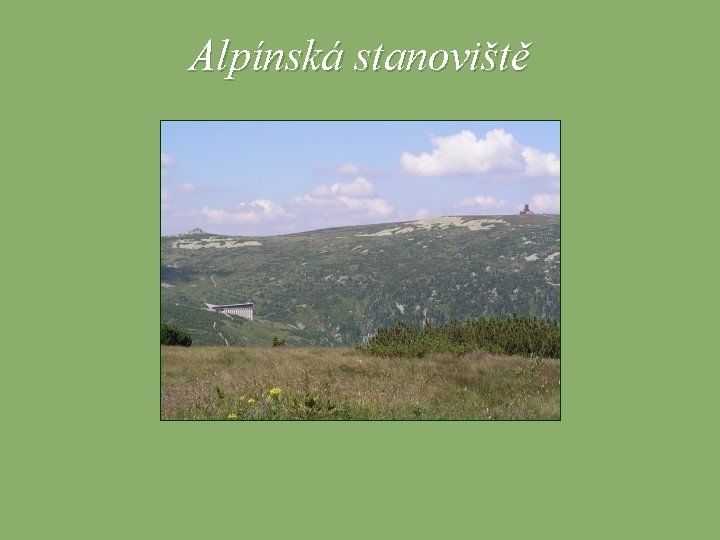 Alpínská stanoviště 