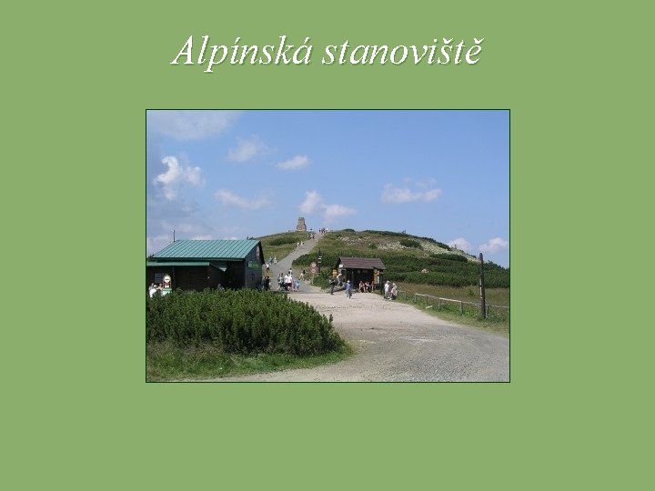 Alpínská stanoviště 