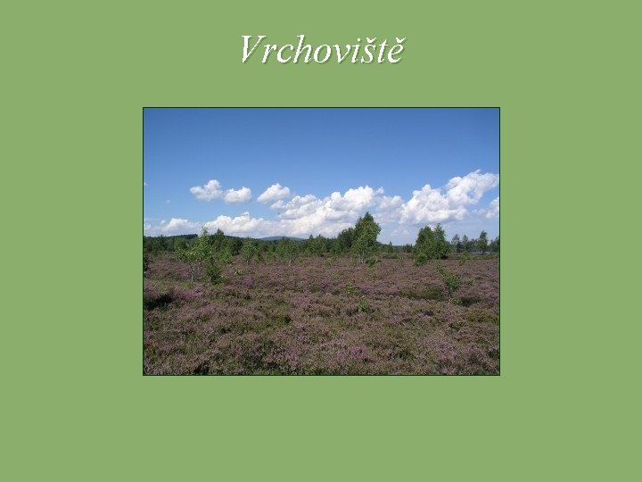Vrchoviště 