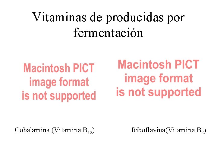 Vitaminas de producidas por fermentación Cobalamina (Vitamina B 12) Riboflavina(Vitamina B 2) 