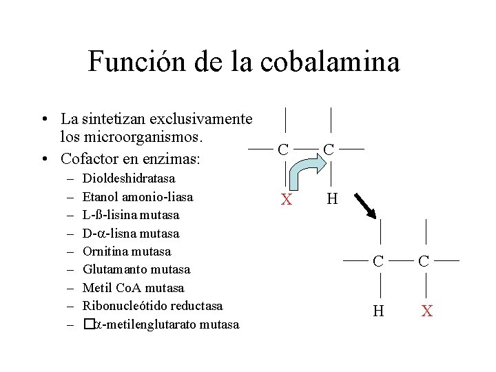 Función de la cobalamina • La sintetizan exclusivamente los microorganismos. • Cofactor en enzimas:
