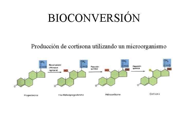 BIOCONVERSIÓN Producción de cortisona utilizando un microorganismo 