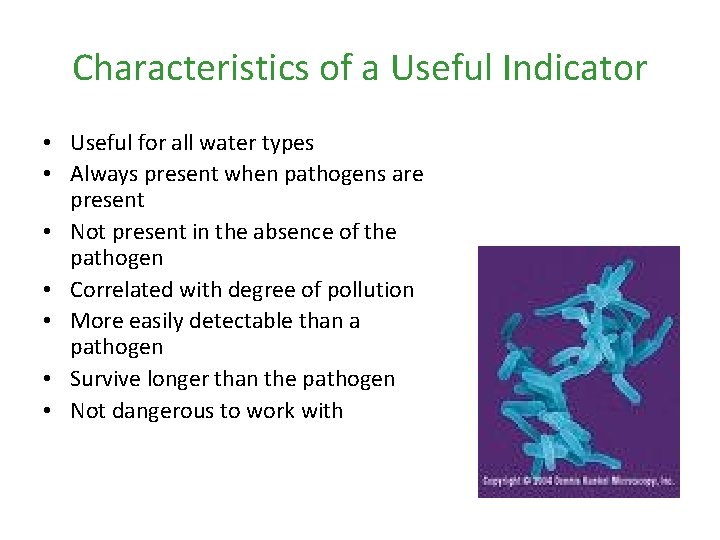 Characteristics of a Useful Indicator • Useful for all water types • Always present