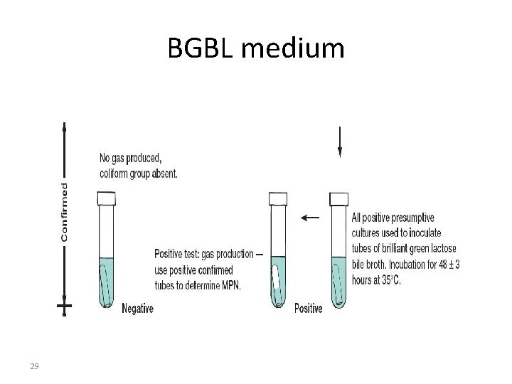 BGBL medium 29 