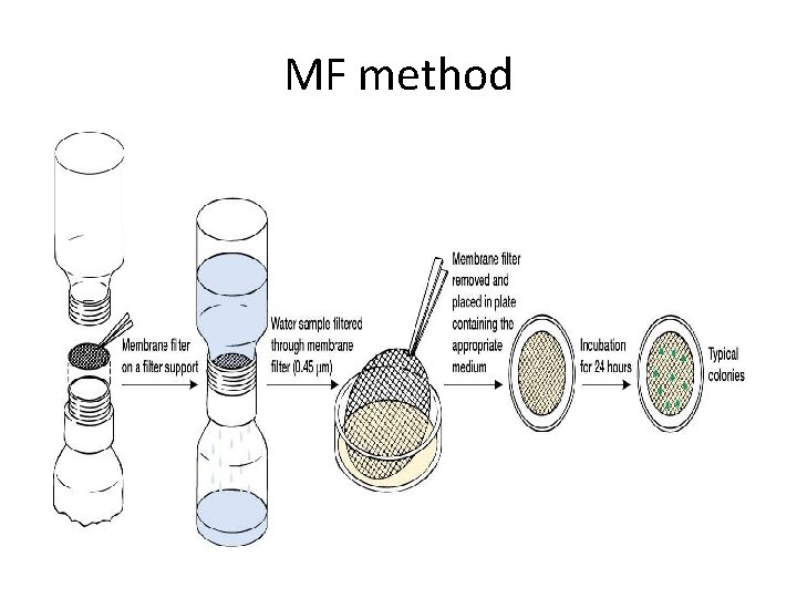 MF method 