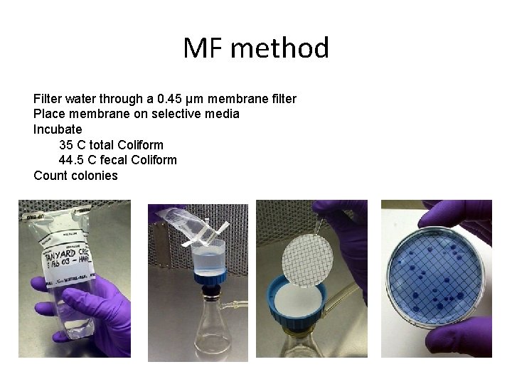 MF method Filter water through a 0. 45 μm membrane filter Place membrane on