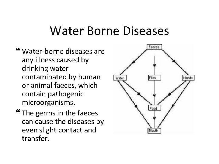 Water Borne Diseases Water-borne diseases are any illness caused by drinking water contaminated by