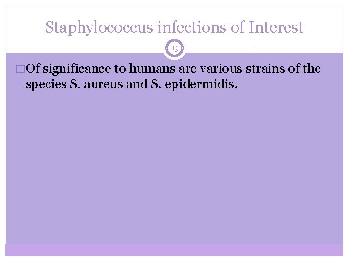 Staphylococcus infections of Interest 19 �Of significance to humans are various strains of the