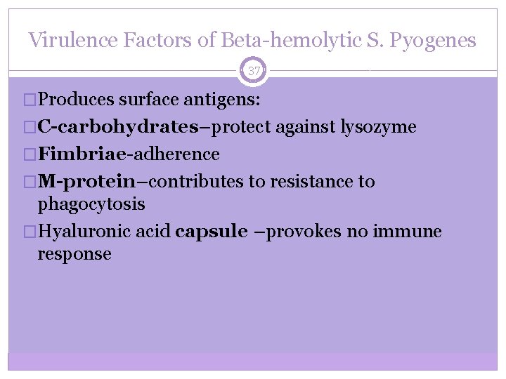 Virulence Factors of Beta-hemolytic S. Pyogenes 37 �Produces surface antigens: �C-carbohydrates–protect against lysozyme �Fimbriae-adherence