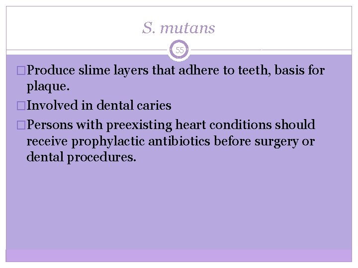 S. mutans 55 �Produce slime layers that adhere to teeth, basis for plaque. �Involved