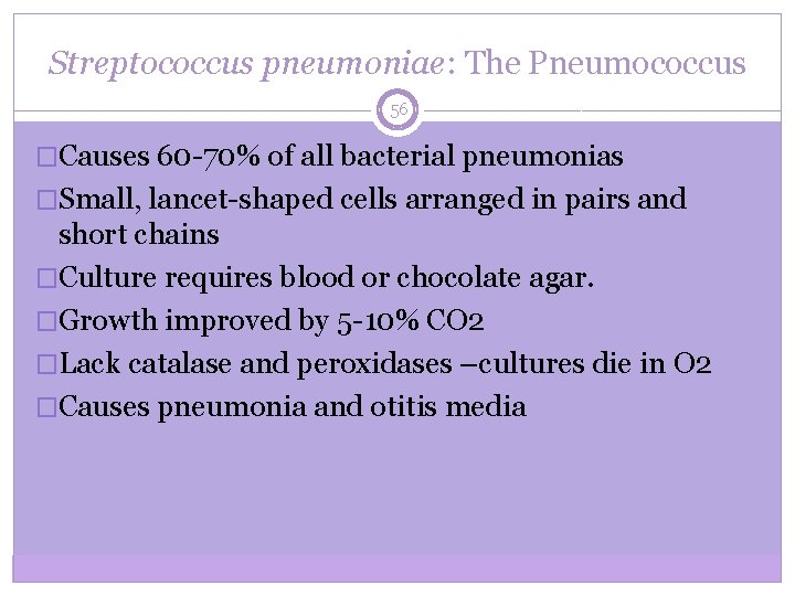 Streptococcus pneumoniae: The Pneumococcus 56 �Causes 60 -70% of all bacterial pneumonias �Small, lancet-shaped