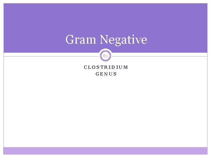 Gram Negative 61 CLOSTRIDIUM GENUS 