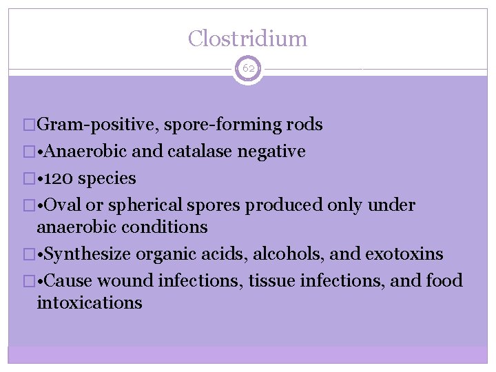 Clostridium 62 �Gram-positive, spore-forming rods � • Anaerobic and catalase negative � • 120