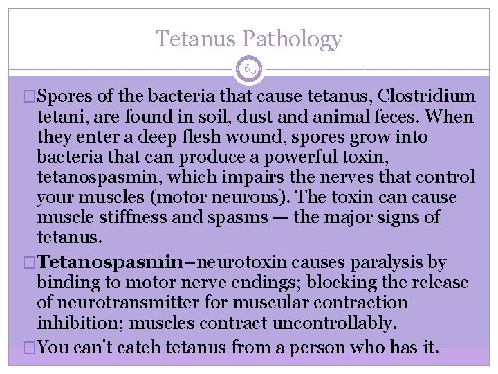 Tetanus Pathology 65 �Spores of the bacteria that cause tetanus, Clostridium tetani, are found