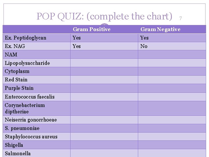 POP QUIZ: (complete the chart) 7 Gram Positive Gram Negative Ex. Peptidoglycan Yes Ex.