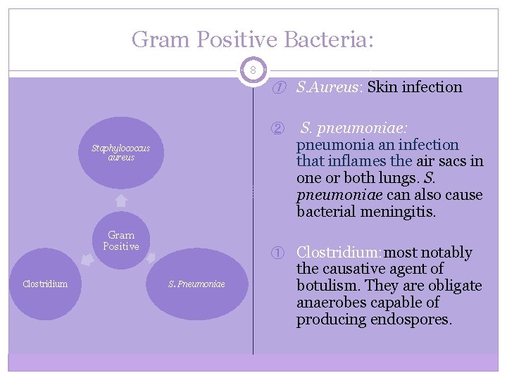 Gram Positive Bacteria: 8 ① S. Aureus: Skin infection ② S. pneumoniae: pneumonia an
