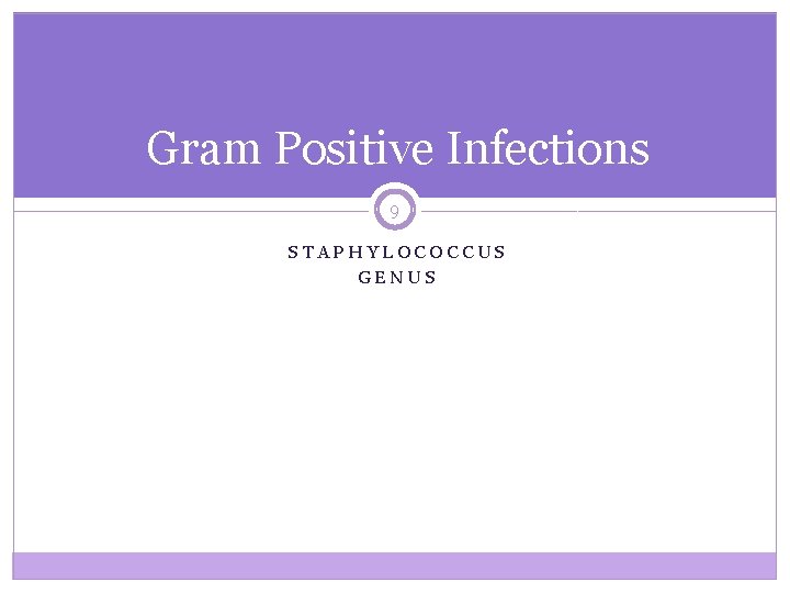 Gram Positive Infections 9 STAPHYLOCOCCUS GENUS 