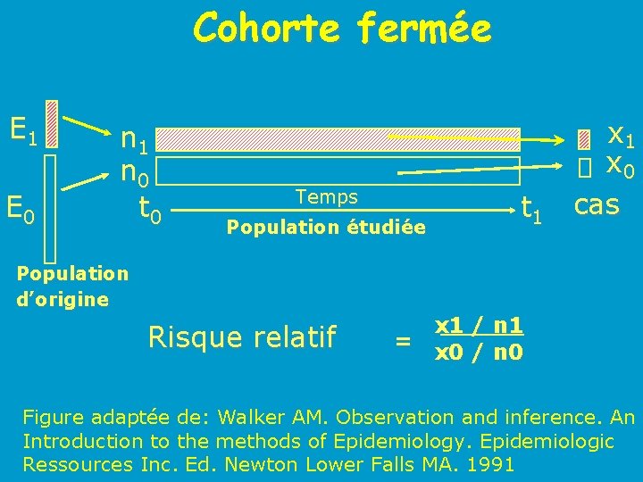 Cohorte fermée E 1 E 0 n 1 n 0 t 0 Temps Population