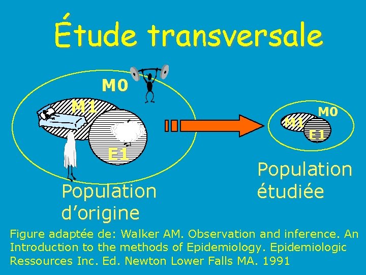 Étude transversale M 0 M 1 E 1 Population d’origine M 0 E 1