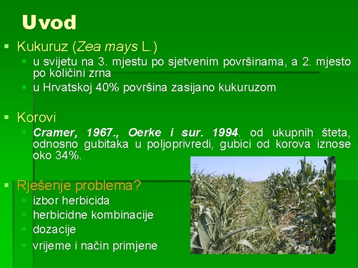 Uvod § Kukuruz (Zea mays L. ) § u svijetu na 3. mjestu po