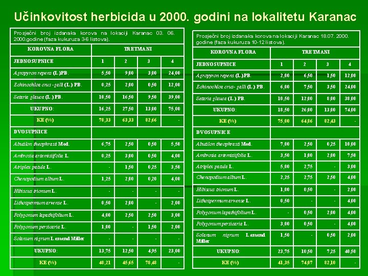 Učinkovitost herbicida u 2000. godini na lokalitetu Karanac Prosječni broj izdanaka korova na lokaciji