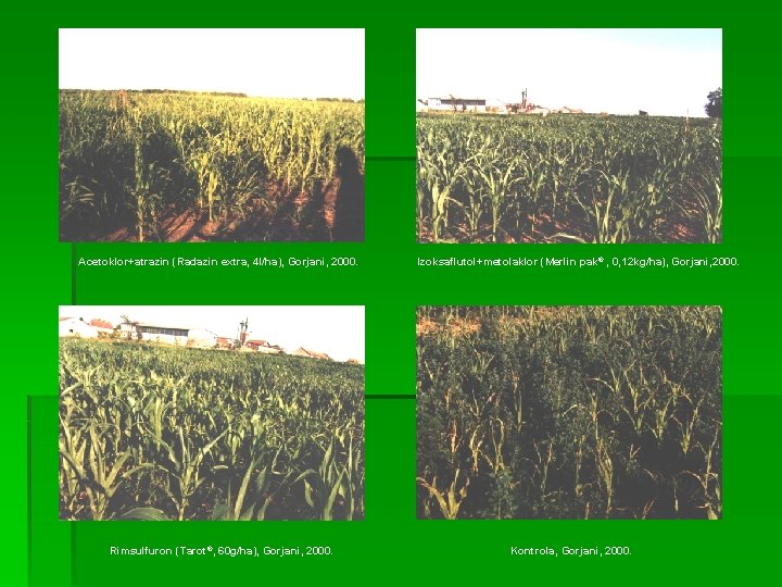 Acetoklor+atrazin (Radazin extra, 4 l/ha), Gorjani, 2000. Rimsulfuron (Tarot®, 60 g/ha), Gorjani, 2000. Izoksaflutol+metolaklor