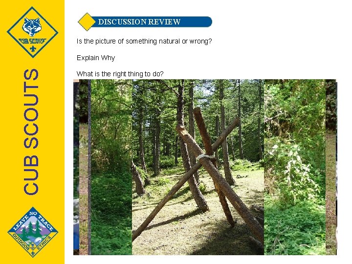 DISCUSSION REVIEW Is the picture of something natural or wrong? CUB SCOUTS Explain Why