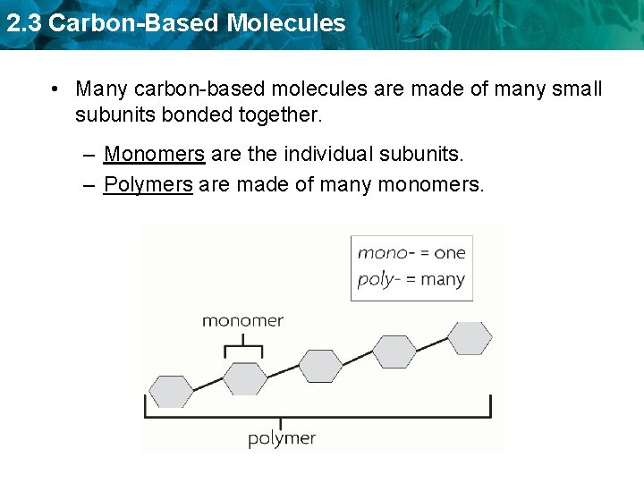 2. 3 Carbon-Based Molecules • Many carbon-based molecules are made of many small subunits