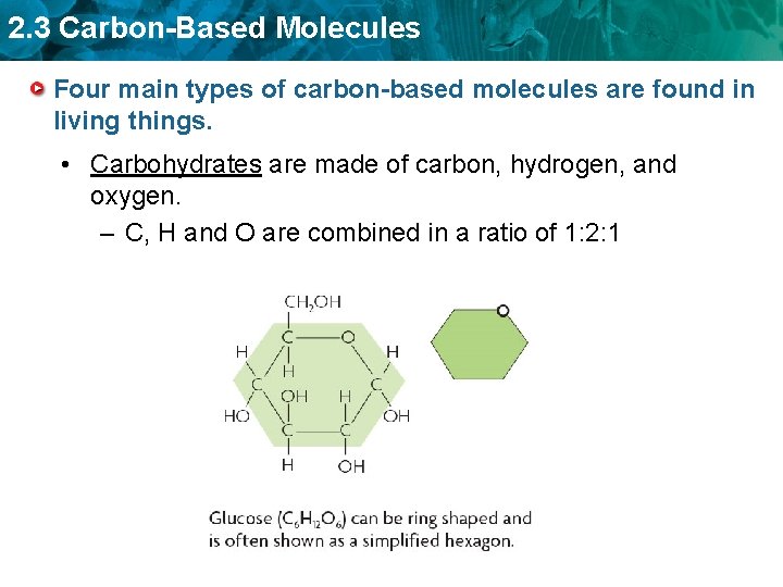 2. 3 Carbon-Based Molecules Four main types of carbon-based molecules are found in living