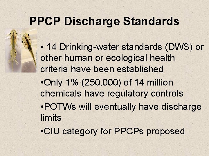 PPCP Discharge Standards • 14 Drinking-water standards (DWS) or other human or ecological health