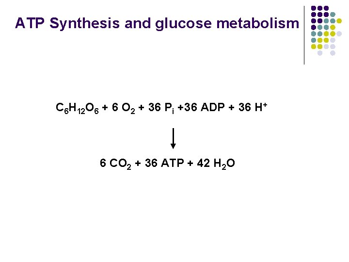 ATP Synthesis and glucose metabolism C 6 H 12 O 6 + 6 O