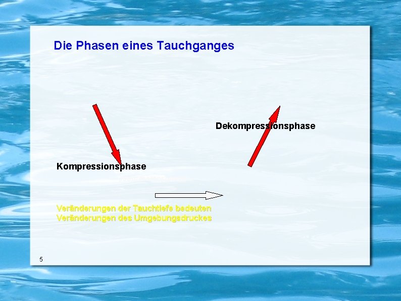 Die Phasen eines Tauchganges Dekompressionsphase Kompressionsphase (Isopressionsphase) Veränderungen der Tauchtiefe bedeuten Veränderungen des Umgebungsdruckes