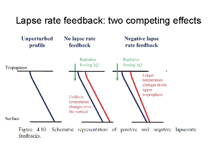 Lapse rate feedback: two competing effects 