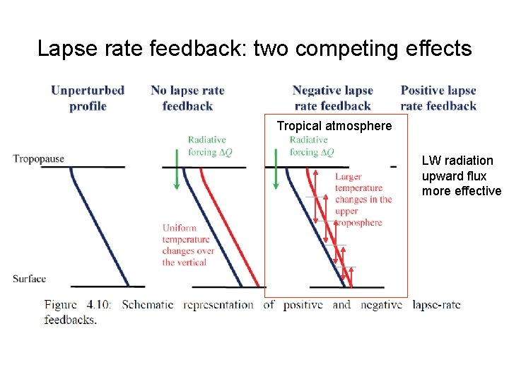 Lapse rate feedback: two competing effects Tropical atmosphere LW radiation upward flux more effective