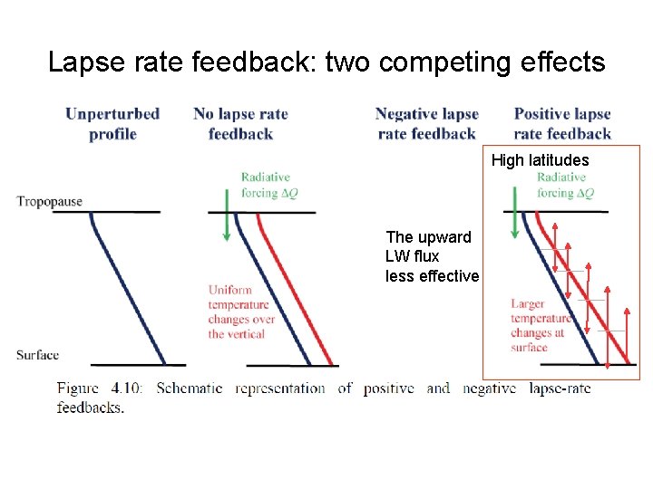 Lapse rate feedback: two competing effects High latitudes The upward LW flux less effective