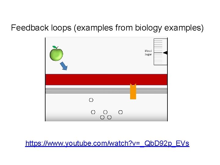 Feedback loops (examples from biology examples) https: //www. youtube. com/watch? v=_Qb. D 92 p_EVs