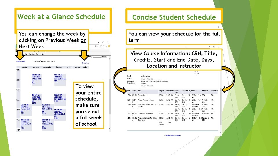 Week at a Glance Schedule You can change the week by clicking on Previous