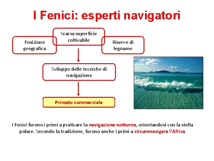 I Fenici: esperti navigatori Posizione geografica Scarsa superficie coltivabile Riserve di legname Sviluppo delle