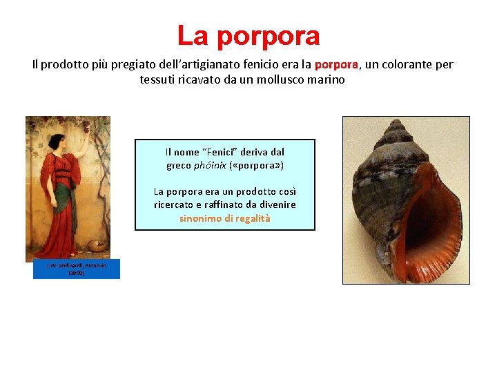 La porpora Il prodotto più pregiato dell’artigianato fenicio era la porpora, un colorante per