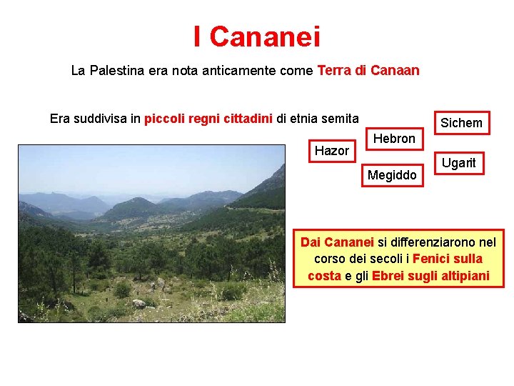 I Cananei La Palestina era nota anticamente come Terra di Canaan Era suddivisa in